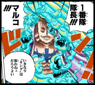 ワンピース マルコさん 不死鳥のクセにあっさりやられてしまうwwwwwww 漫画まとめちゃんねる